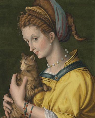 A Young Lady with a Cat, ca 1525-1530, by Bacchiacca (1494-1557) Christies Sale, January 30, 2013, Lot 151