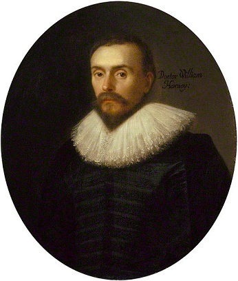 William Harvey, 1627 (attributed to Daniël Mijtens the Elder) (ca. 1590-1648)   National Portrait Galler, London,  NPG 5115 